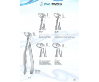 Extracting Forceps